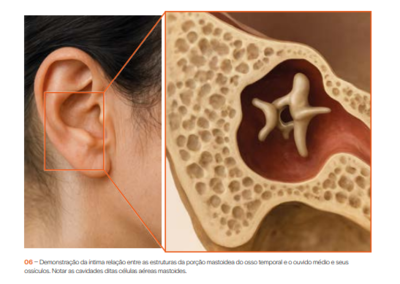 Captura de tela 2025 09 05 155021